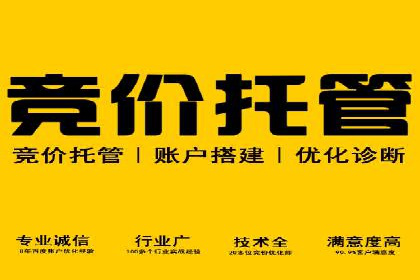 SEM托管优化案例深度解析